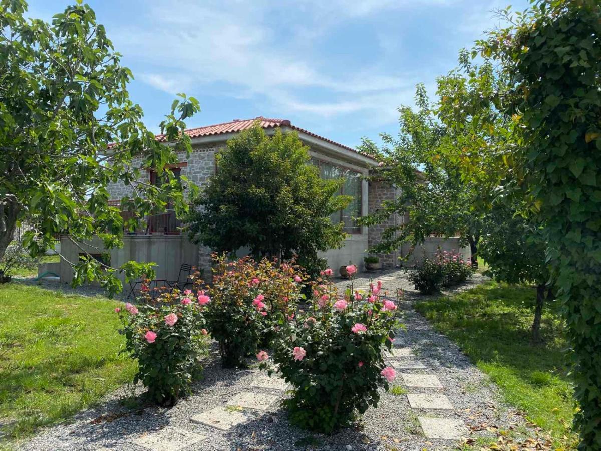 Kampus Luxury Villas Tríkala Exteriör bild