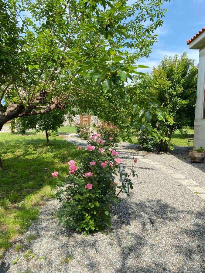 Kampus Luxury Villas Tríkala Exteriör bild