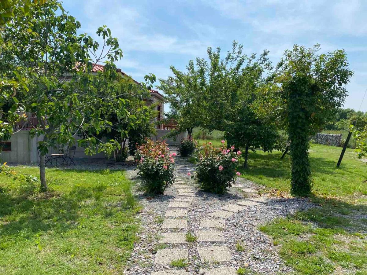 Kampus Luxury Villas Tríkala Exteriör bild